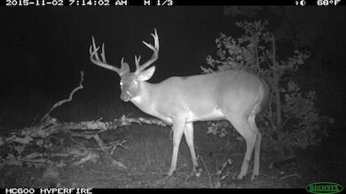 495 Arkansas Rd, Sadler, TX 76264 - photo 6