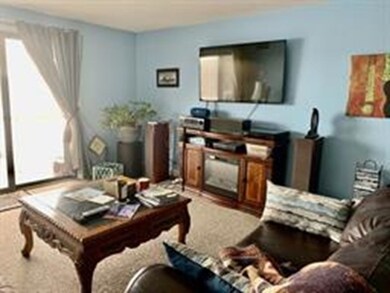 The Lakeshore Condominiums unit 224, Worcester, MA 01604 - photo 5
