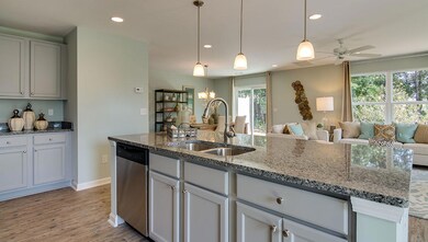Open Kitchen into Living/Dining