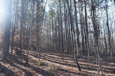 Lot View