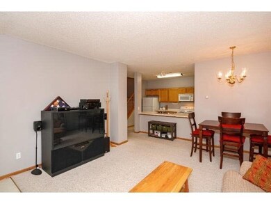 1010 108th Ln NW, Coon Rapids, MN 55433 - photo 6