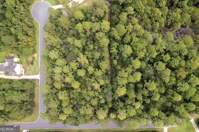 V/L 173A Misty Harbor, Woodbine, GA 31569 - photo 5