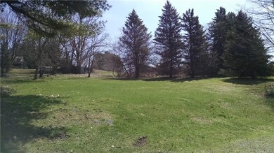 Beautiful park-like backyard.