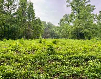 Lark Road 5