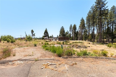 13771 Finch Ct, Magalia, CA 95954 - photo 6