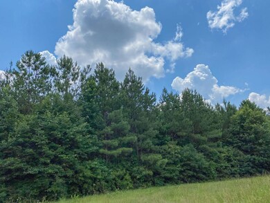 0 Us Hwy 59 unit 22715273, Corrigan, TX 75939 - photo 3