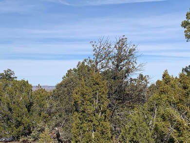 7310 Red Feather Ct, Happy Jack, AZ 86024 - photo 7