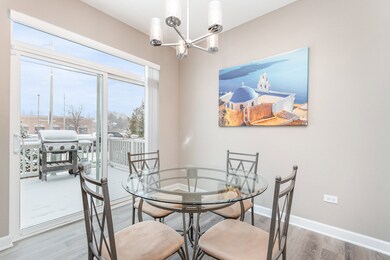 253 Masters Dr, Addison, IL 60101 - photo 6