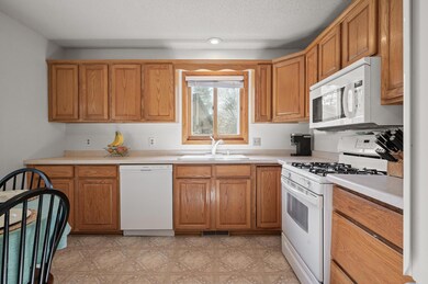 10807 Avocet St NW, Coon Rapids, MN 55433 - photo 6