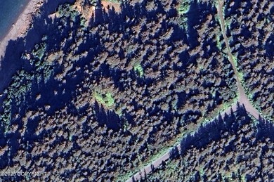 Google Earth