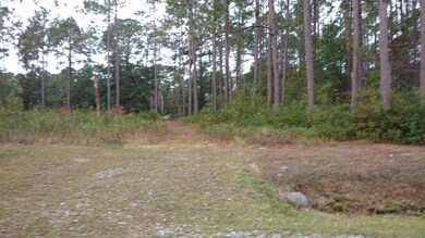 IMG_20181109_073313853