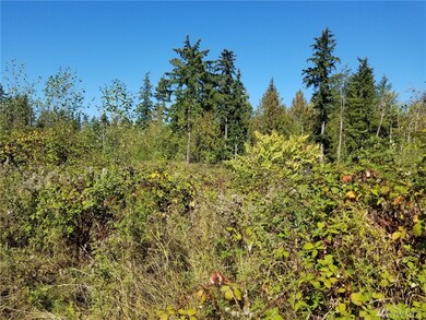 24222 110th Ave E unit A, Graham, WA 98338 - photo 4