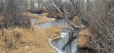 Nhn Skalkaho Hwy, Hamilton, MT 59840 - photo 5