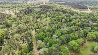 TBD Port Hudson-Pride Rd, Zachary, LA 70791 - photo 4