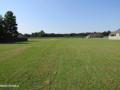 4208 E Admiral Doyle Dr, New Iberia, LA 70560 - photo 2