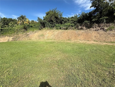 0 Carr 411 Km 0 2 Int Bo Calvache unit MFRPR9117701, Rincon, PR 00677 - photo 7