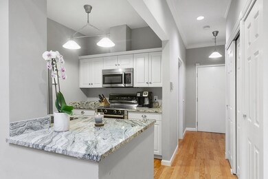 The Basilica unit 203, Charlestown, MA 02129 - photo 2