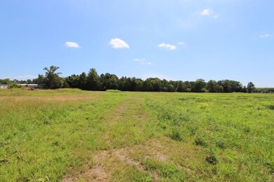 4025 Dave Ward Dr, Conway, AR 72034 - photo 7