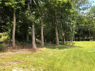 Rear yard tree line