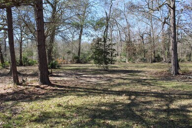 27 County Road 4110, Dayton, TX 77535 - photo 3