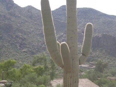 Saguaro