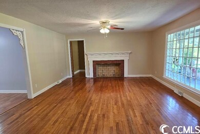 4436 Highway 19, Conway, SC 29526 - photo 6