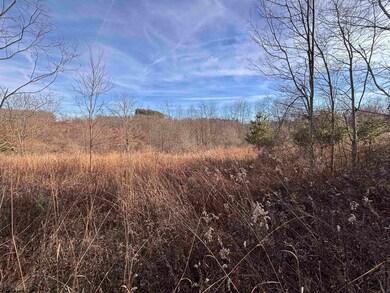 TBD Barbour County Hwy, Philippi, WV 26416 - photo 4