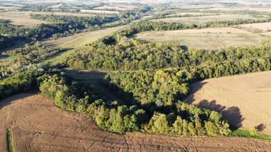 27 Ac. Dougherty Creek Rd, Argyle, WI 53504 - photo 7