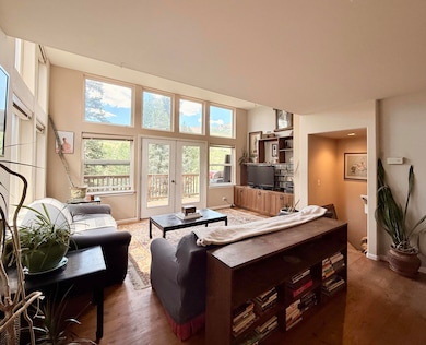 118 Alexander Overlook unit SV141, Telluride, CO 81435 - photo 2