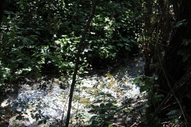 9975 Blackwell Rd, Central Point, OR 97502 - photo 5