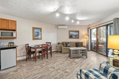 101 Michigan Ave unit 105, Charlevoix, MI 49720 - photo 4