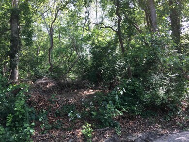 0 Ovington Dr unit 21713195, East Falmouth, MA 02536 - photo 2