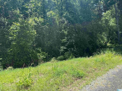 0 Murdock Rd unit 21420317, Attalla, AL 35954 - photo 2