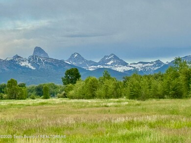 IMG_1807