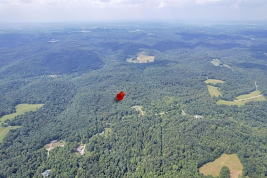 19351 Unger Road (3)