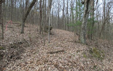 Additional View