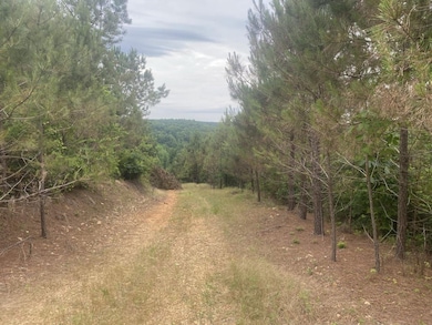 Big Opposum Creek Rd, Waynesboro, TN 38485 - photo 7