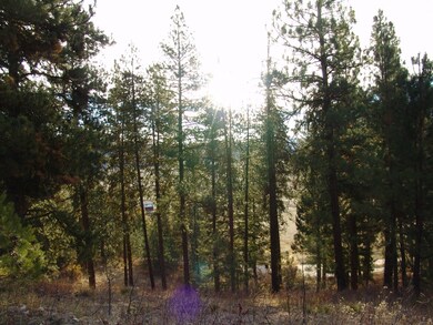 10 Rehn Loop unit 1, Cascade, ID 83611 - photo 5