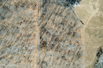 438 Ridenours Way, Falls of Rough, KY 40119 - photo 3