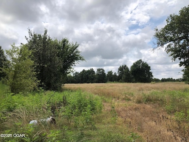 27602 State Highway 96, Carl Junction, MO 64834 - photo 2