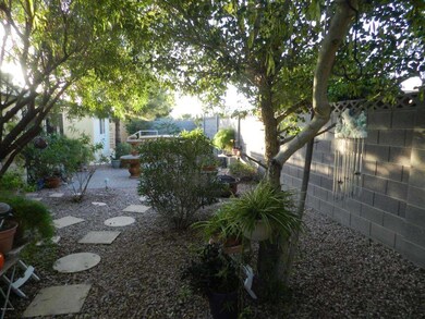 BACK YARD