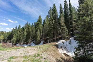 6600Paintbrush_JGPhoto-2