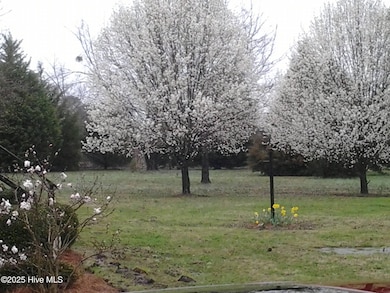 1281 Campground Rd, Elizabeth City, NC 27909 - photo 7