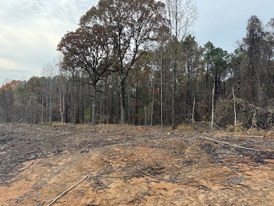 TBD Cr 442, Paris, MS 38949 - photo 6