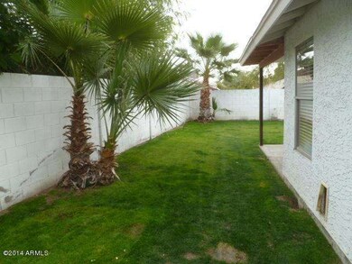 SIDE YARD