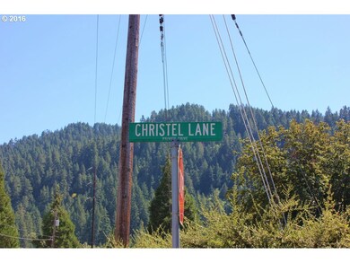 0 Christel Ln unit 16081525, Oakridge, OR 97463 - photo 5