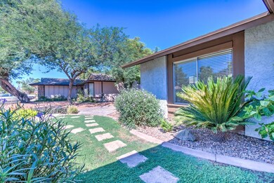 4606 W Milky Way -8