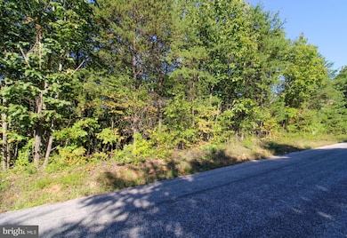 TBD Roark Mill Rd, Hurt, VA 24563 - photo 5