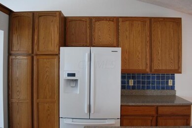 Pantry and Fridge