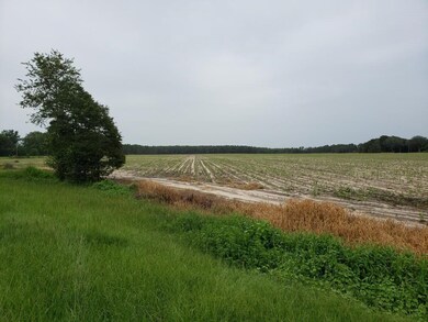 0 Futch Rd unit 118653, Adel, GA 31620 - photo 2